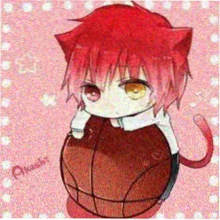 追剧猫猫